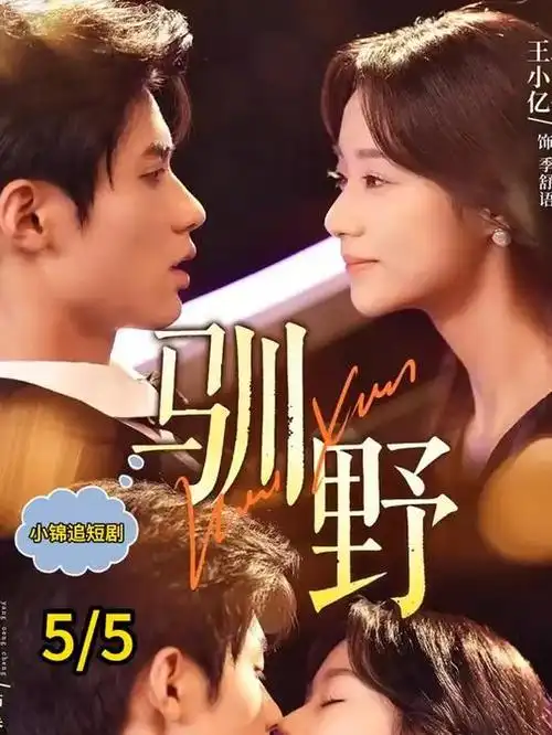 归潮 现实题材电视剧海报